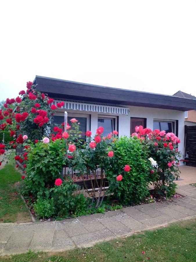 Fewo Isla 1 Elmenhorst/Lichtenhagen Dış mekan fotoğraf